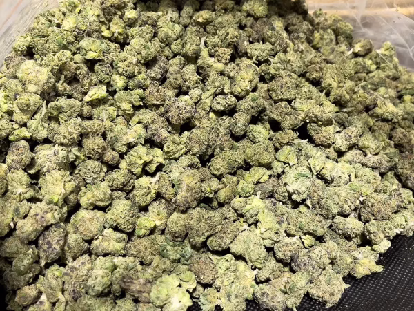 Runtz X Alien Mintz - Hybrid Strain - THCa Smalls - 29.24% @ HighHippy.com