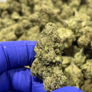 Brownie Scout – Indica Strain – Exotic THCa Flower – 27.20% @ HighHippy.com - Fast Shipping!