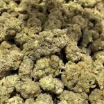 Gary Payton - Hybrid Strain - THCa Smalls - 29.21% - Exotic @ HighHippy.com