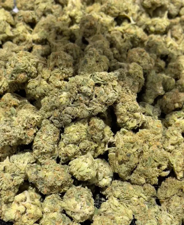 Gary Payton - Hybrid Strain - THCa Smalls - 29.21% - Exotic @ HighHippy.com