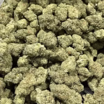 Purple Gushers THCa Flower Sativa