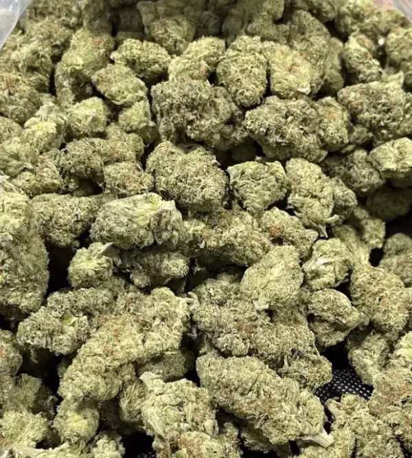 Purple Gushers THCa Flower Sativa