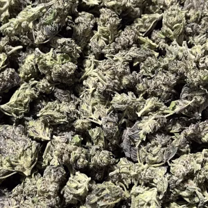 Peach Crescendo (S) - 32.05% THCa - S - Image 2