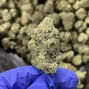 Presidential Kush Indica Strain