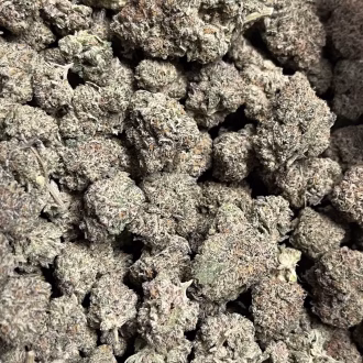 Presidential Kush – Indica Strain – THCa Flower - 32.40% – 3.5g @ HighHippy.com - Fast Shipping!