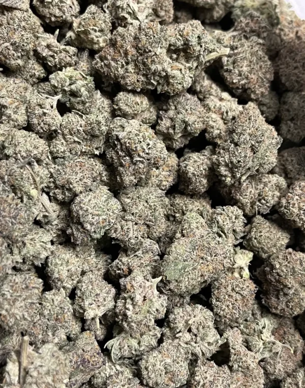 Presidential Kush – Indica Strain – THCa Flower - 32.40% – 3.5g @ HighHippy.com - Fast Shipping!