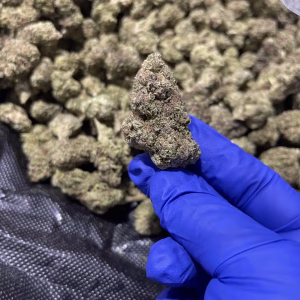 Blueberry Octane THCa Flower Indica