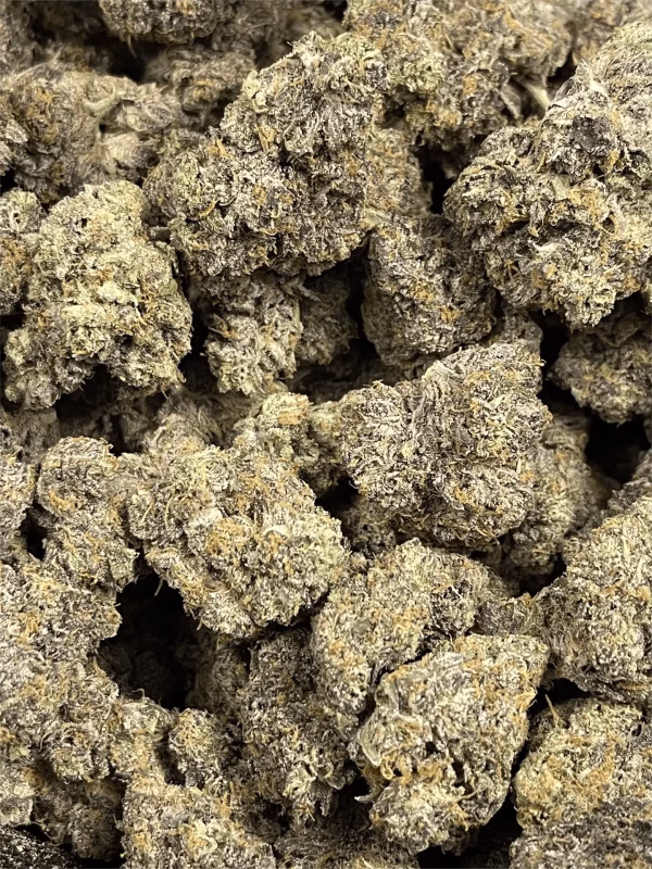 Sherbacio THCa Flower Hybrid Sherbacio THCa Flower Hybrid