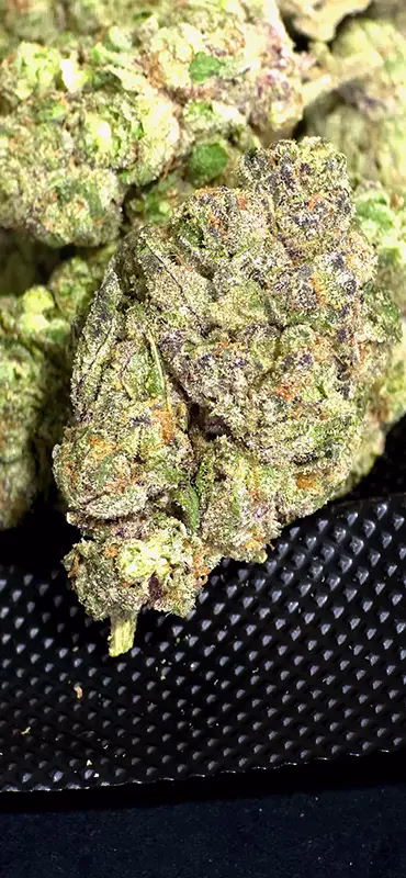 Skittlez Cake - Indica Strain - High Potency Flower - 36.48% @ HighHippy.com - FREE OVERNIGHT SHIPPING!