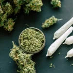 Smalls vs Top-Shelf THCa Flower: Truth Told @ HighHippy.com | $100 OZ - FREE OVERNIGHT DELIVERY!