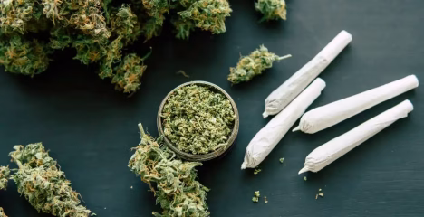 Smalls vs Top-Shelf THCa Flower: Truth Told @ HighHippy.com | $100 OZ - FREE OVERNIGHT DELIVERY!