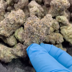 Super Boof - Sativa Strain - 32.34% THCa Flower - Private Reserve @ HighHippy.com