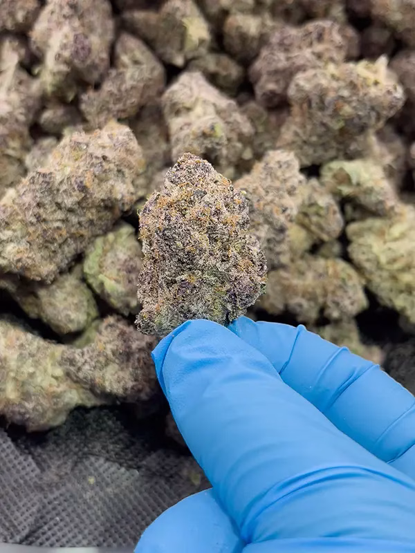 Super Boof - Sativa Strain - 32.34% THCa Flower - Private Reserve @ HighHippy.com