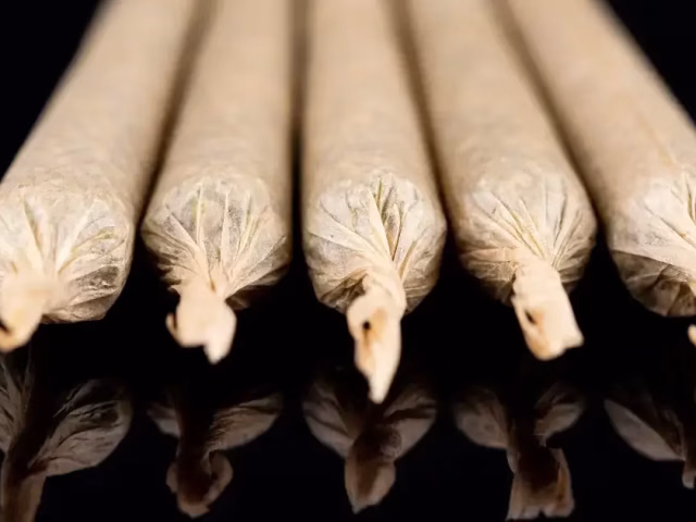 THCa Pre-Rolls vs Flower @ HighHippy.com Blogs CALI-GROWN - OVERNIGHT SHIPPING