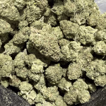 Truffle Butter - Indica - High Potency Flower - 37.35% THCa 0@ HighHippy.com - free OVERNIGHT shipping!