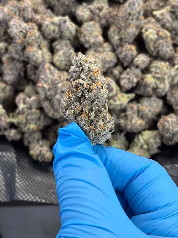 Truffle Butter - Indica - High Potency Flower - 37.35% THCa 0@ HighHippy.com - free OVERNIGHT shipping!