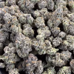 Truffle Butter THCa Flower Indica