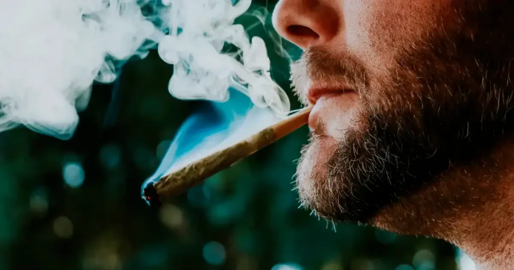 What Is THCa (Simple Explanation) @ HighHippy.com - The Pros at Best THCa Online, Cali-grown, FREE OVERNIGHT SHIPPING!