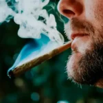 What Is THCa (Simple Explanation) @ HighHippy.com - The Pros at Best THCa Online, Cali-grown, FREE OVERNIGHT SHIPPING!