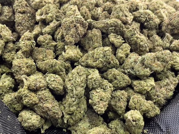 White Widow THCa Flower Sativa White Widow THCa Flower Sativa