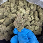 White Widow THCa Flower - 30.79% @ HighHippy.com - Overnight Shipping!
