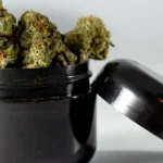 Why You Should Buy THCa Flower Online: The Truth @ HighHippy.com Blogs- Best THCa Flower Online - $100 Ounces - Cheap Smalls! - Overnight Shipping!
