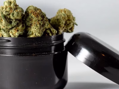 Why You Should Buy THCa Flower Online: The Truth @ HighHippy.com Blogs- Best THCa Flower Online - $100 Ounces - Cheap Smalls! - Overnight Shipping!