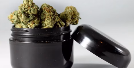 Why You Should Buy THCa Flower Online: The Truth @ HighHippy.com Blogs- Best THCa Flower Online - $100 Ounces - Cheap Smalls! - Overnight Shipping!