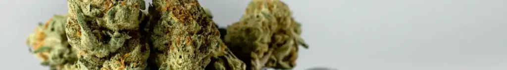 Why You Should Buy THCa Flower Online: The Truth @ HighHippy.com Blogs- Best THCa Flower Online - $100 Ounces - Cheap Smalls! - Overnight Shipping!