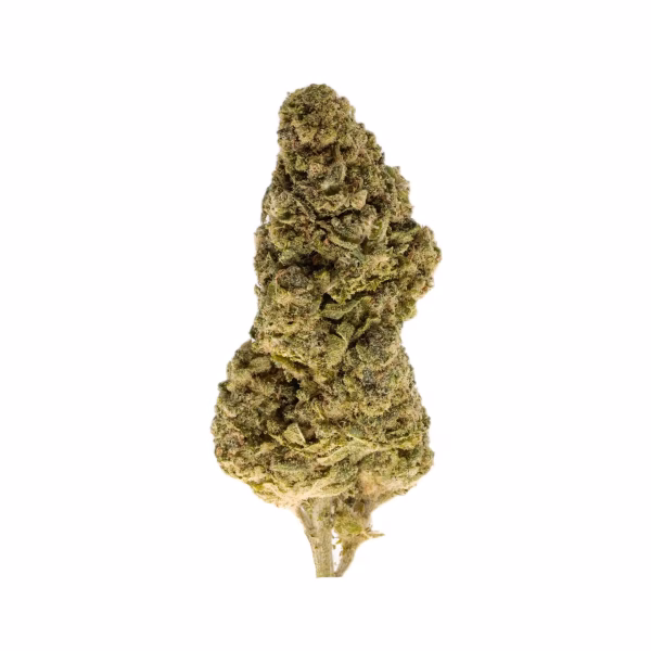 Cherry Dosi THCa Flower Hybrid Cherry Dosi THCa Flower Hybrid