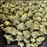 Dump Truck #2 THCa Flower — Indica — 29.61% — Light Dep - Image 2