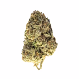 Jet Fuel Gelato THCa Flower Hybrid