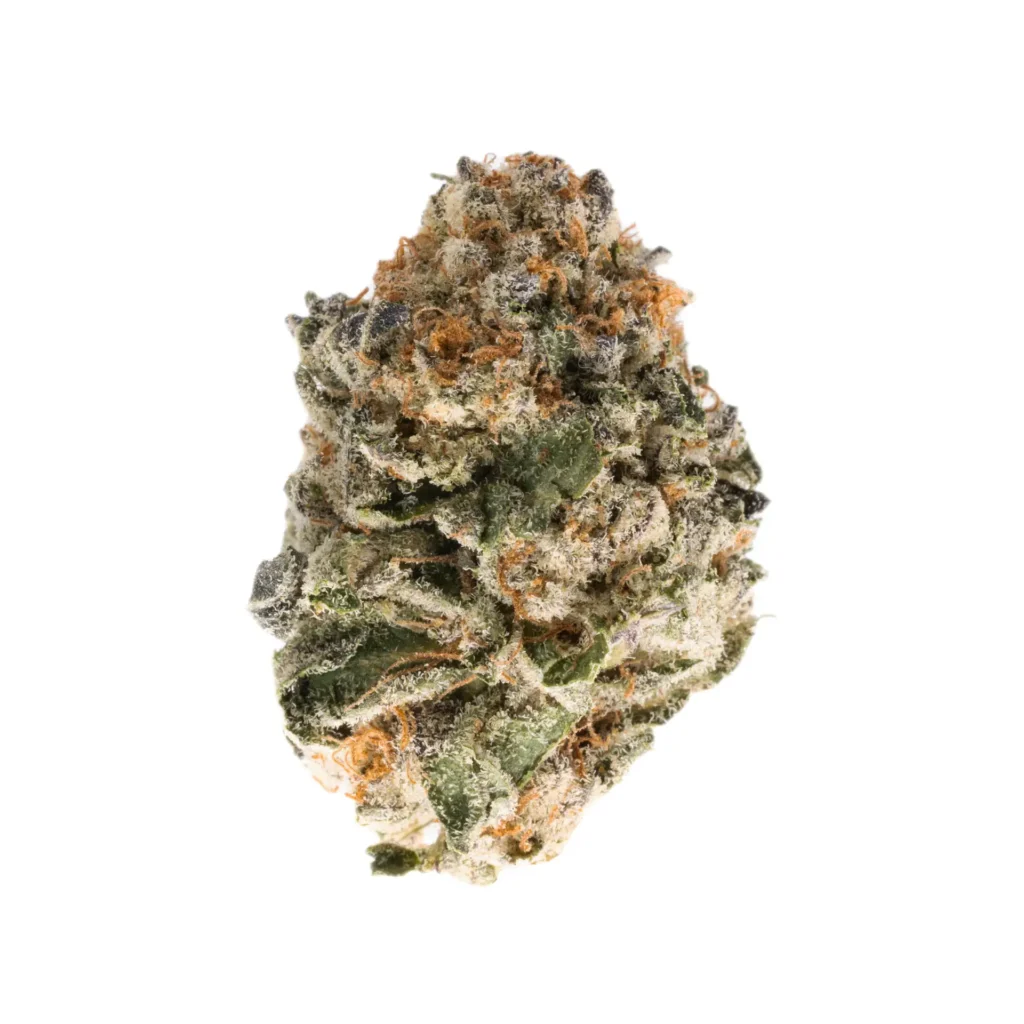 Florida Sunset — Hybrid Strain — THCa Flower — 30.05% — Exotic