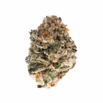 Florida Sunset THCa Flower Hybrid