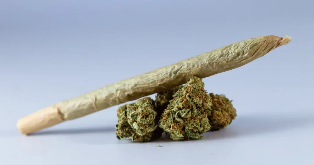 THCa Flower in Florida