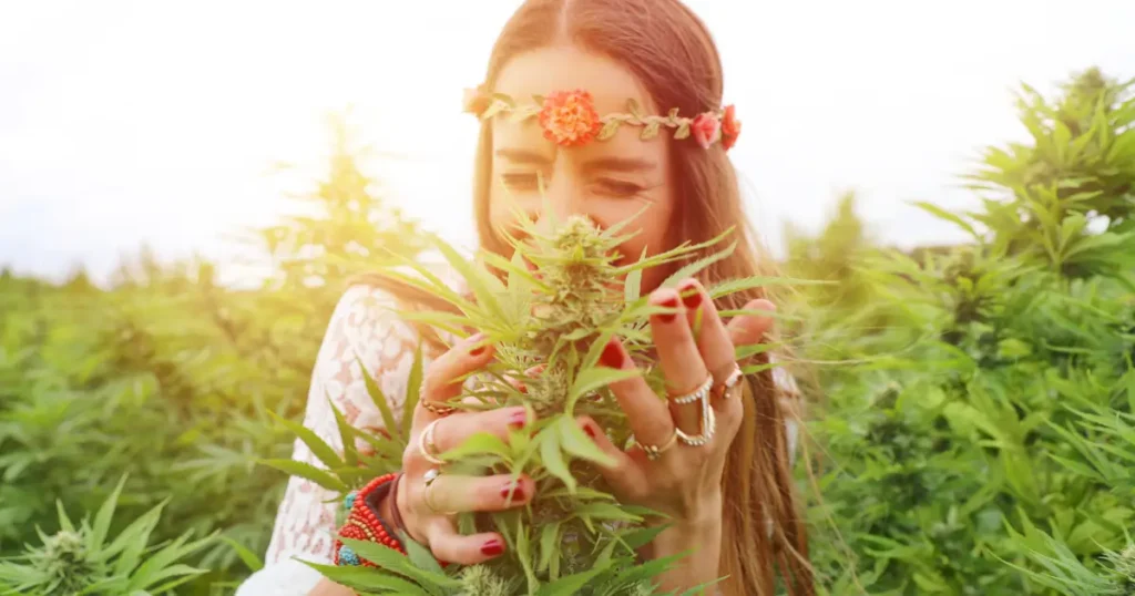 How to Use THCa Flower: Smoking, Vaping, and More @ HighHippy Blogs