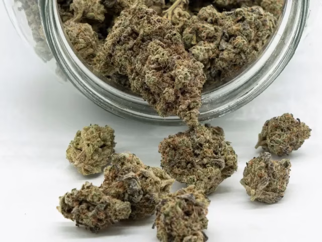 Best Hybrid THCa Online @ HighHippy.com for OVERNIGHT SHIPPING!