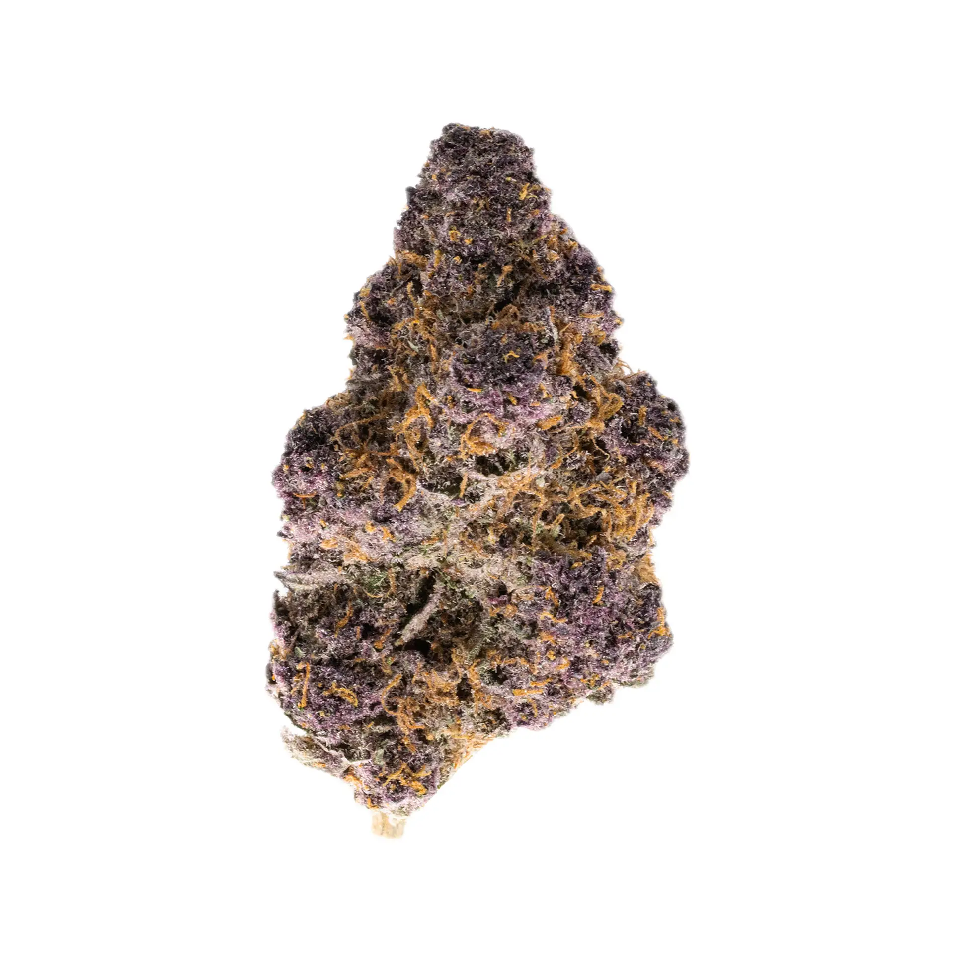 What makes a THCa strain Exotic?