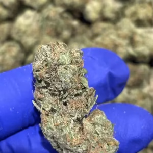 Green Rhino THCa Flower Sativa