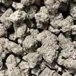 Strawberry Cough - 27.12% THCa - IN - Image 2