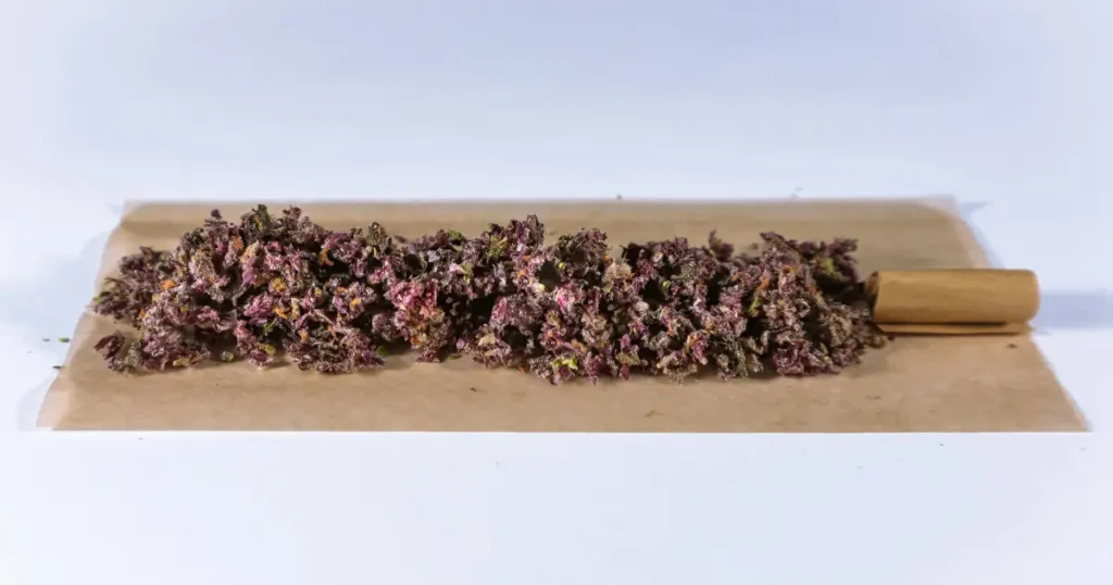 Strongest THCa Strains Available Right Now - The Top 5 @ HighHippy.com