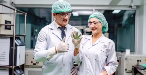 THCa Converts to THC- The Truth Behind Cannabis Science @ HighHippy.com Blogs