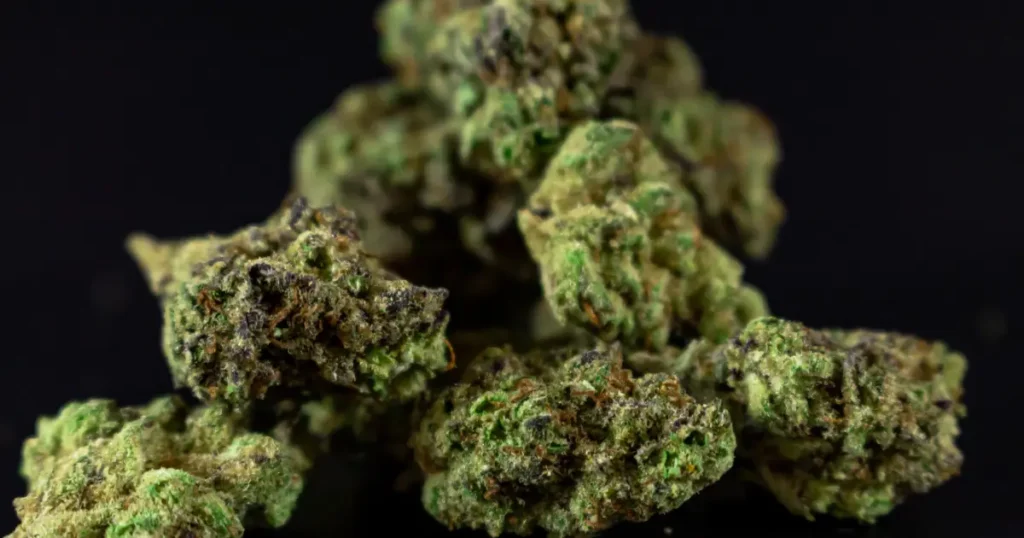 Best THCa Strains Guide @ HighHippy.com Blogs | Best THCa Flower Online SHIPPED FREE OVERNIGHT!