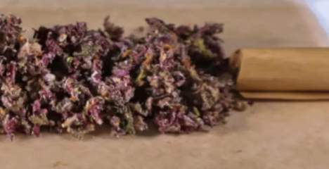 Strongest THCa Strains Available Right Now - The Top 5! @ HighHippy.com