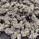 Trap Star - 29.90% THCa - EX - Image 2