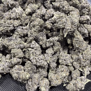 Trap Star - 29.90% THCa - EX - Image 2
