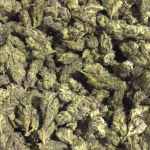 Log Cabin - 31.77% THCa - LD - Image 2