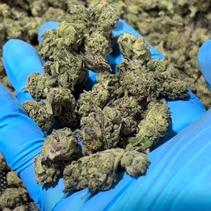 Kandy Kush Indica Strain - THCa Smalls - Cheap Ounces - 28.09% @ HighHippy.com - Fast Delivery!