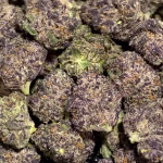 High Hippy Flower Company - Best THCa Flower Online - FREE OVERNIGHT SHIPPING - $100 OZ - Cheap Cali-grown Smalls