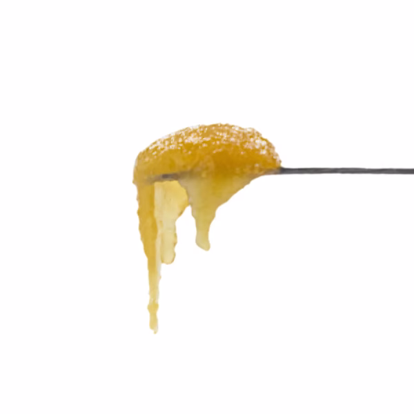 CONCENTRATE-FP-R1-1-16.webp
